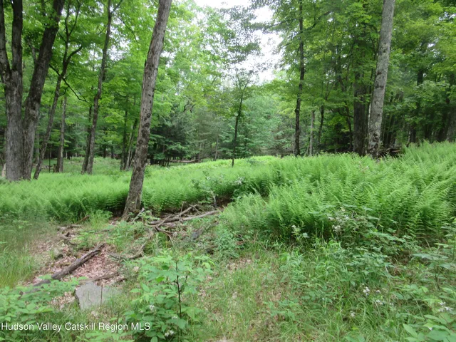 $250,000 | 0 Route 23c Ny 12452, Prattsville, NY 12468