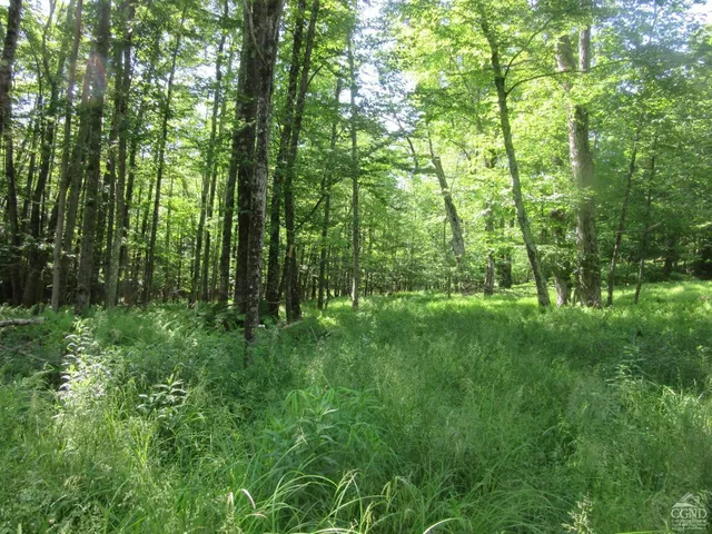 a view of outdoor space with green space
