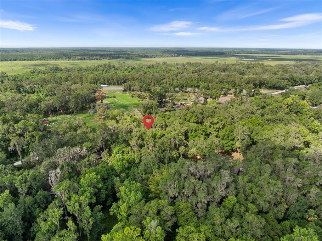 Tbd Southeast Wacahoota Road Micanopy, FL 32667 - Photo 7 of 13 a view of a green field with lots of bushes