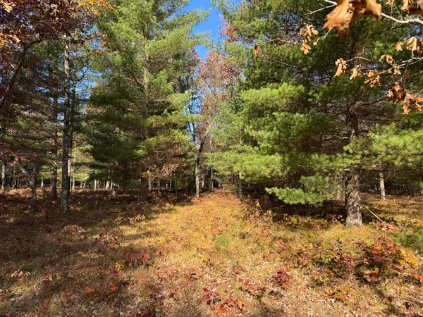 $38,500 | 13 County Line Road, Manistee, MI 49660