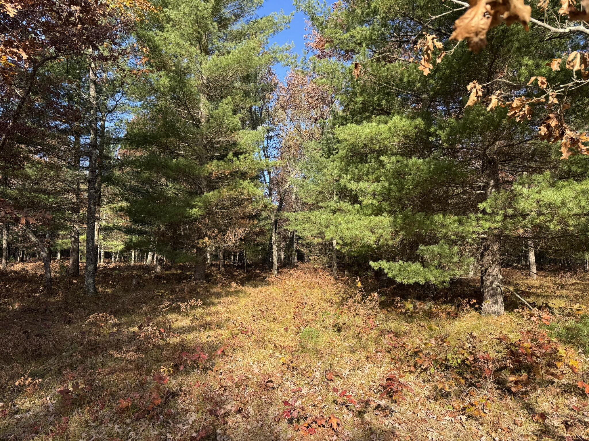 13 County Line Road Manistee, MI 49660 - Photo 3 of 5 IMG_1424