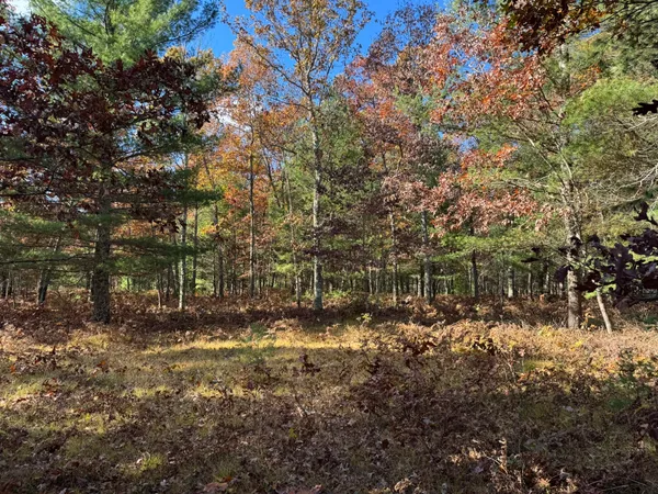 $38,500 | 13 County Line Road, Manistee, MI 49660