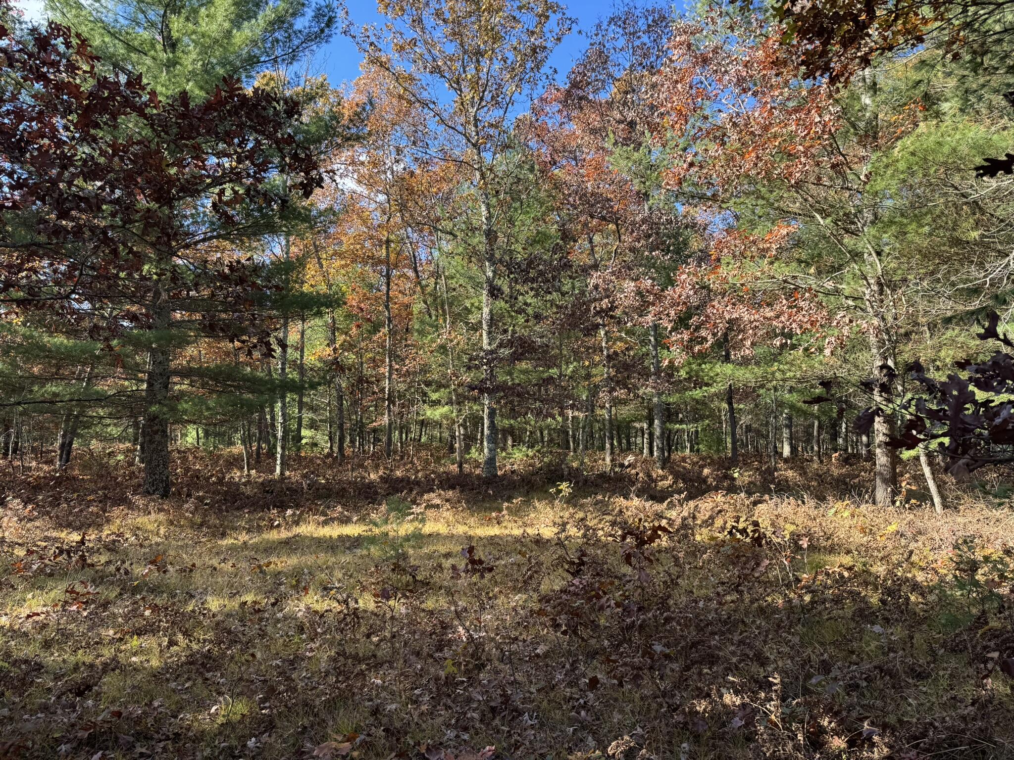 13 County Line Road Manistee, MI 49660 - Photo 4 of 5 IMG_1425