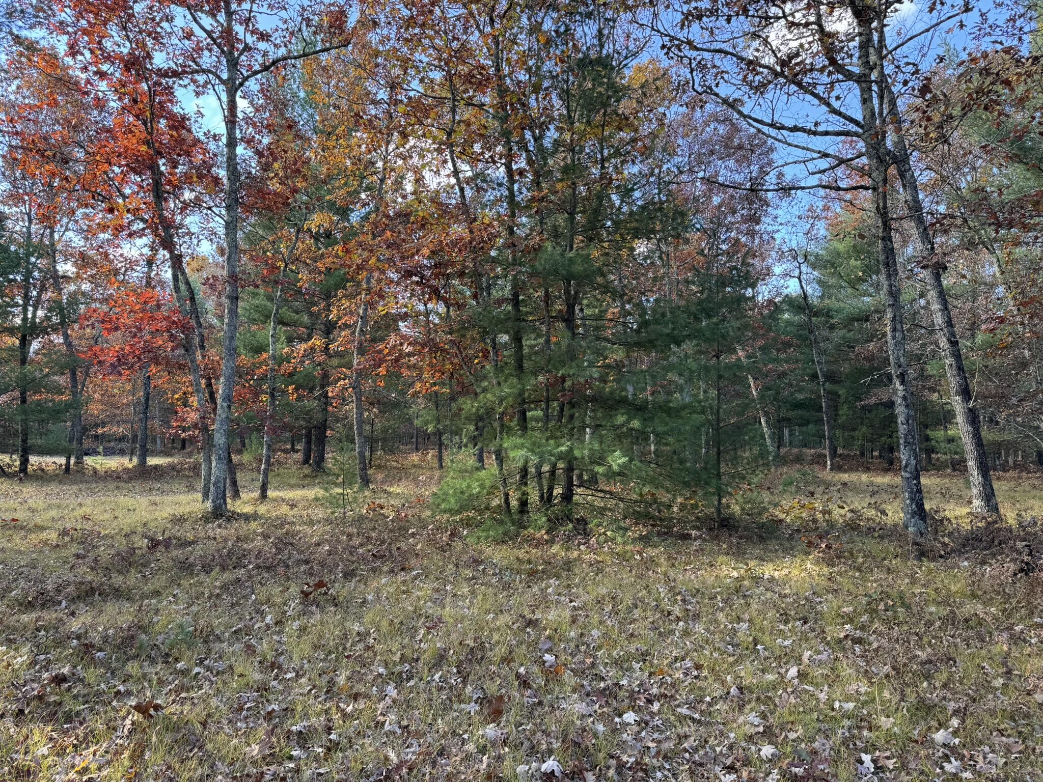 13 County Line Road Manistee, MI 49660 - Photo 5 of 5 IMG_1427