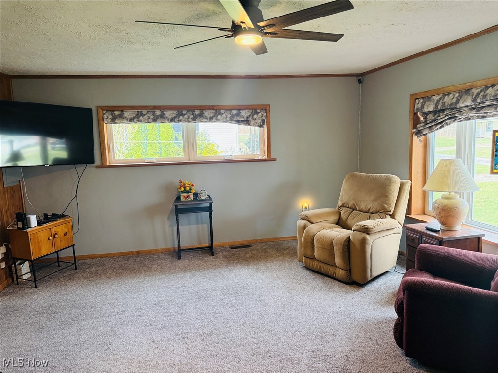 7280 Tessmer Road Williamsfield, OH 44093 - Photo 13 of 50 Gallery Image 13