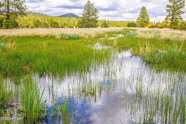 a view of an outdoor space with a lake