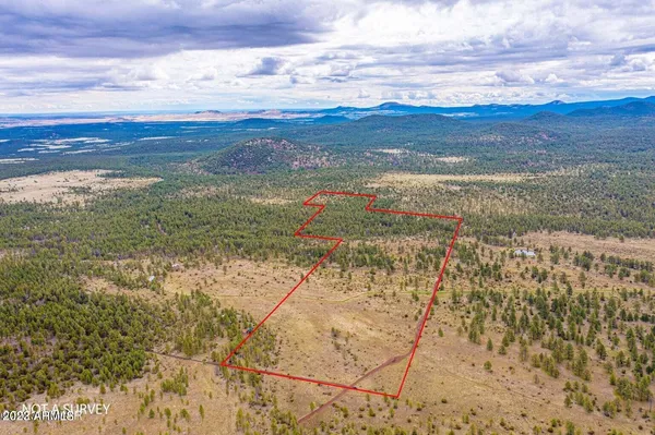 a view of backyard with green space