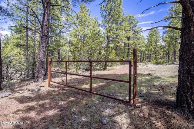 a view of road with trees