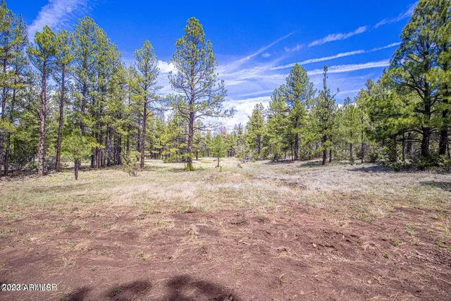 a view of outdoor space with trees