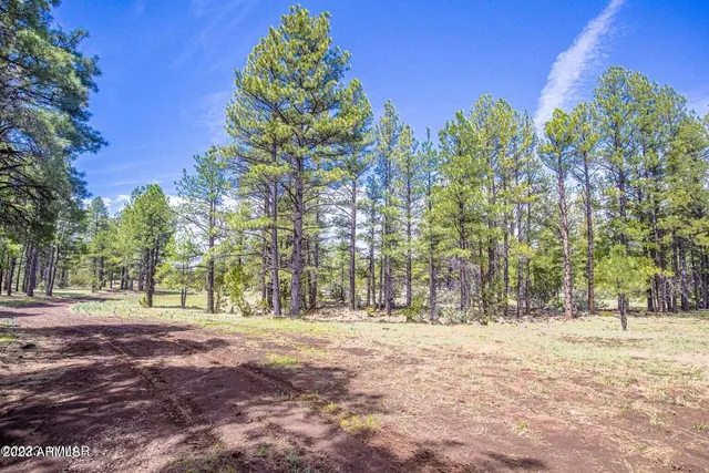 a sign of golf club on a wall
