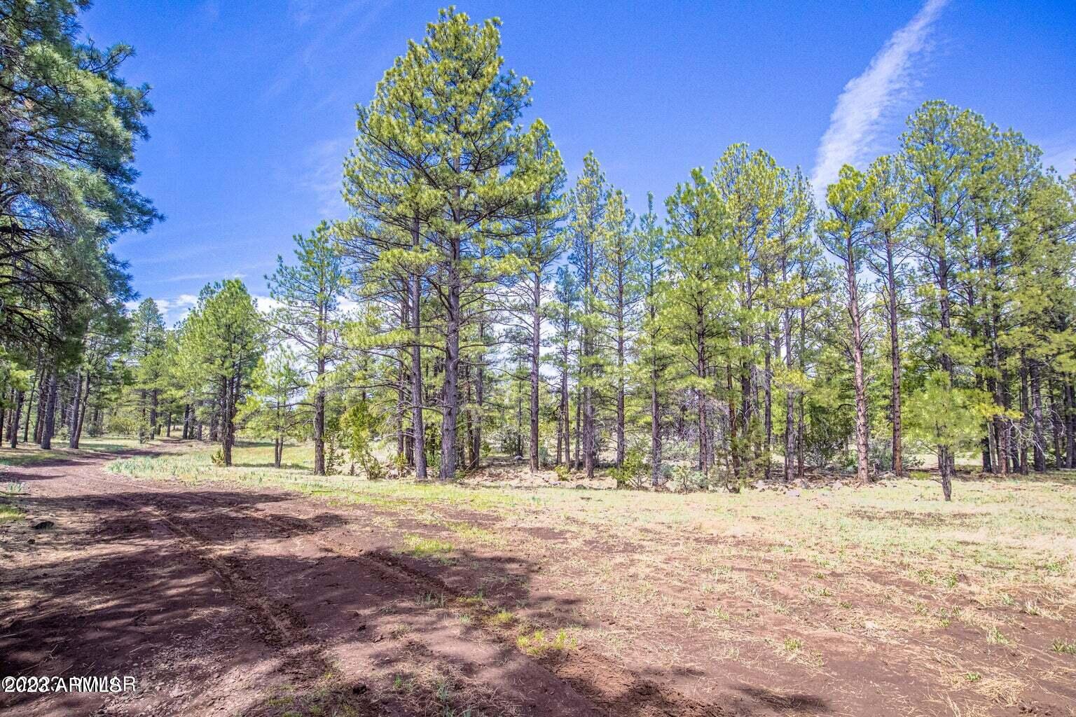 0 Dipping Vat Spring Fire Road Vernon, AZ 85940 - Photo 10 of 15 a view of outdoor space with trees