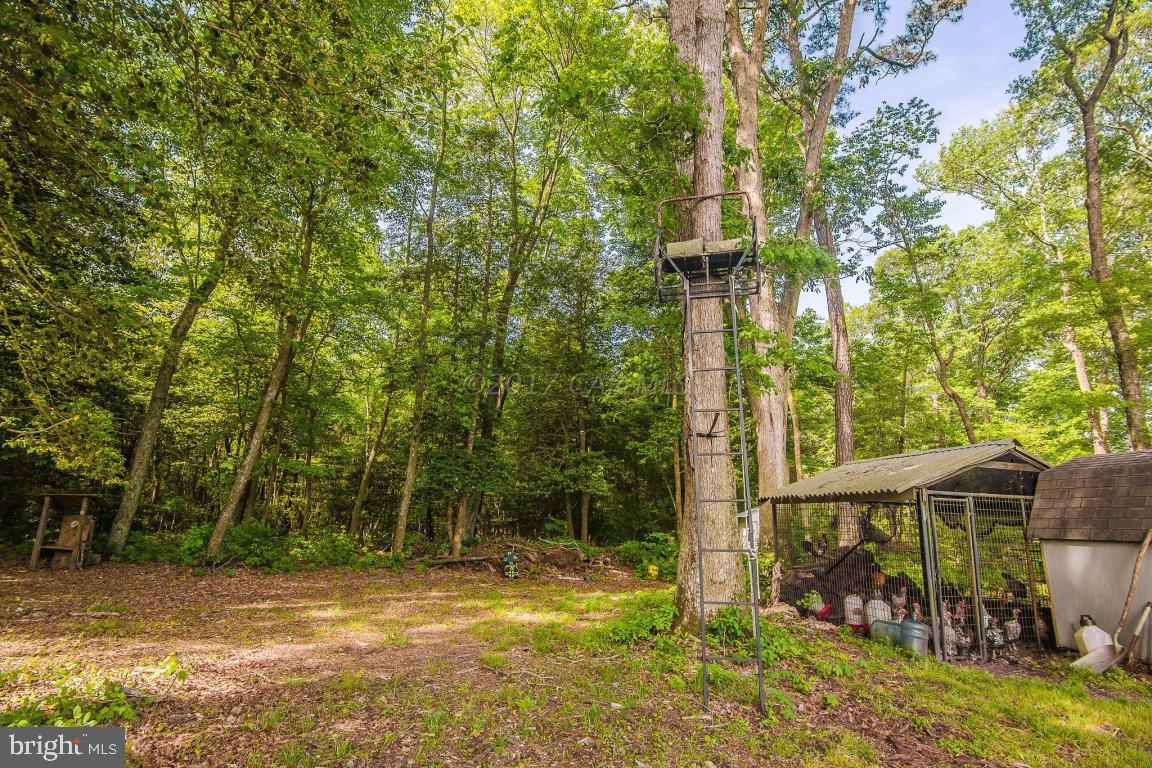 6808 Cherrix Road Girdletree, MD 21829 - Photo 11 of 56 Gallery Image 11