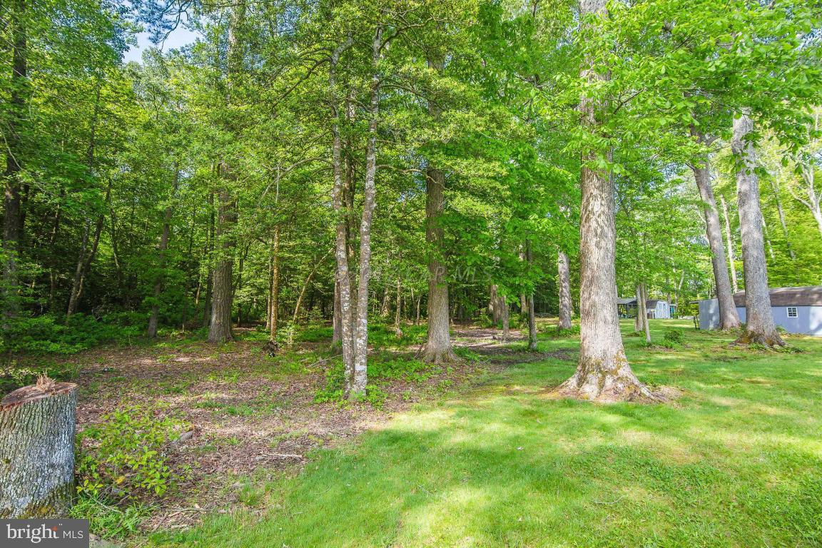 6808 Cherrix Road Girdletree, MD 21829 - Photo 8 of 56 Gallery Image 8