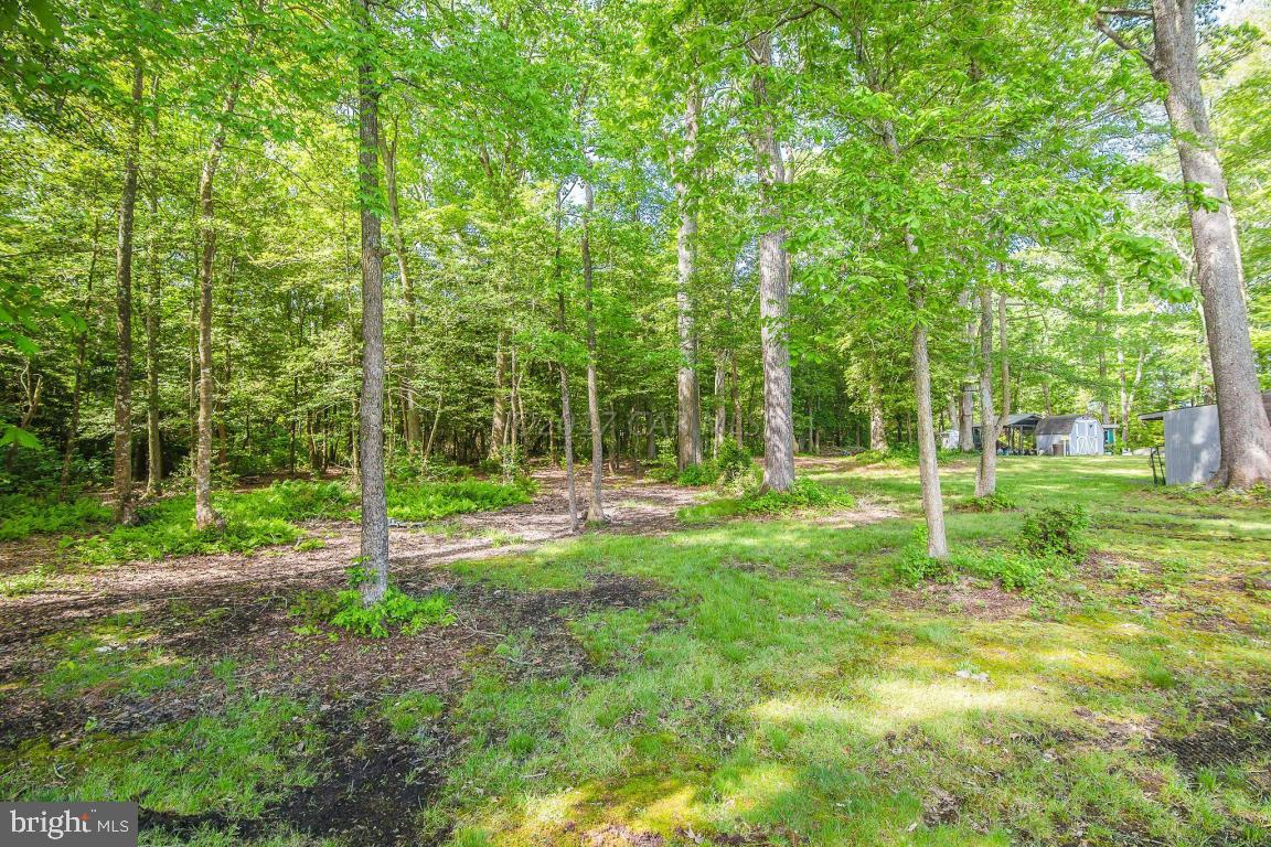 6808 Cherrix Road Girdletree, MD 21829 - Photo 9 of 56 Gallery Image 9