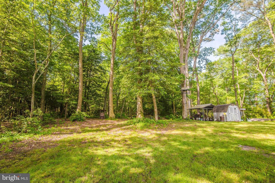 6808 Cherrix Road Girdletree, MD 21829 - Photo 10 of 56 Gallery Image 10