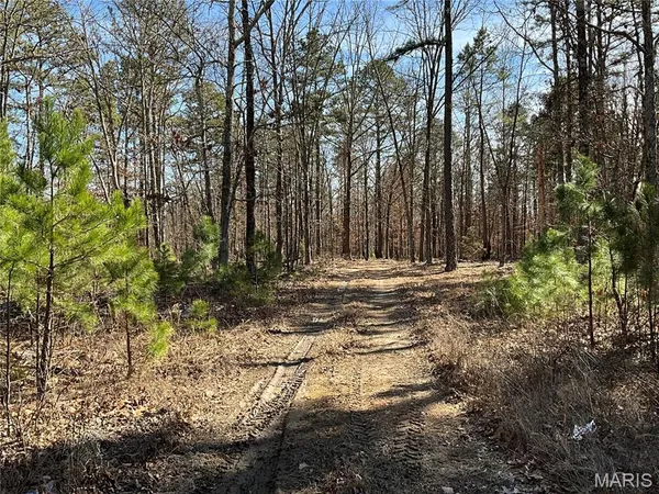 $895,000 | 19056 Country Road 427, Summersville, MO 65571