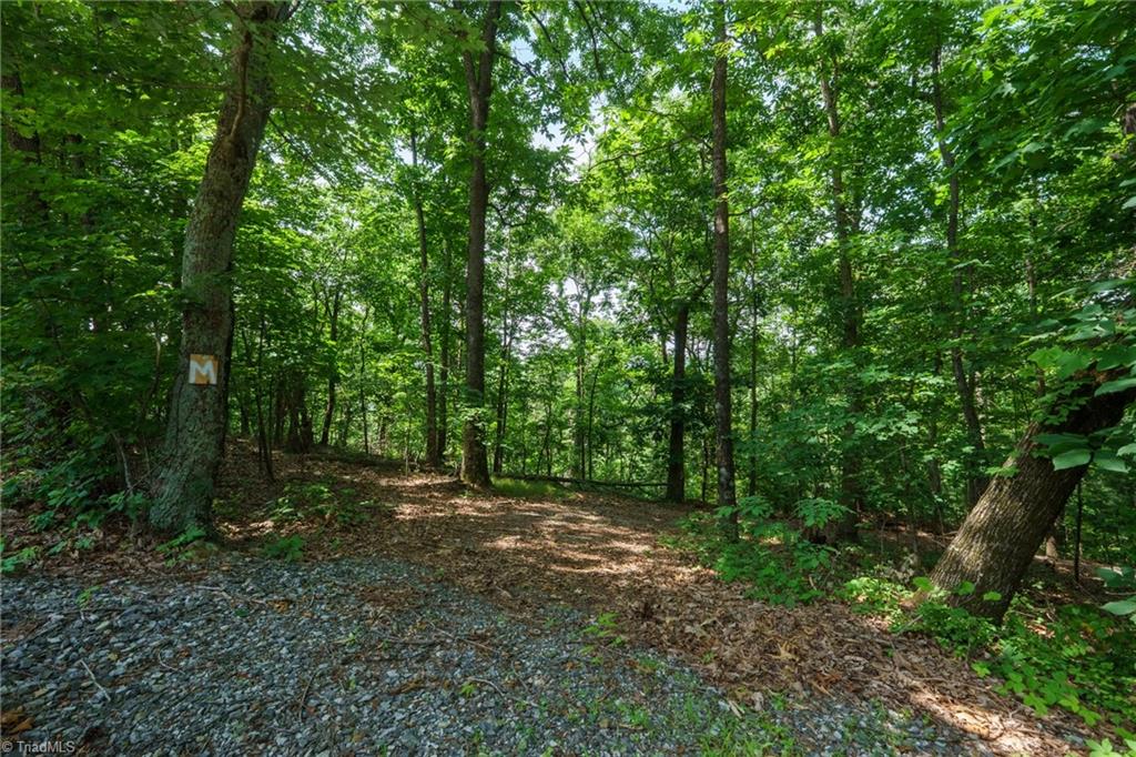 0 Hendren Road Moravian Falls, NC 28654 - Photo 1 of 13