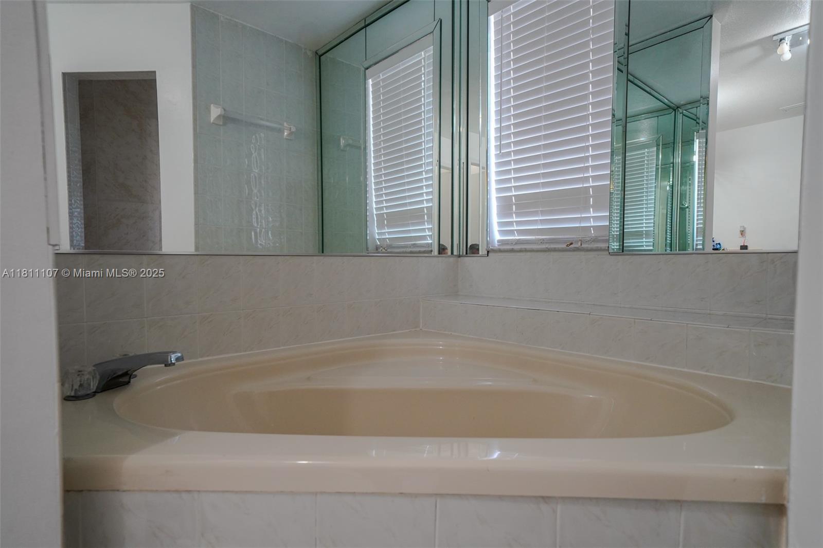 14816 Southwest 104th Street, Unit 85 Miami, FL 33196 - Photo 8 of 20 a close up of a bathtub in a bathroom