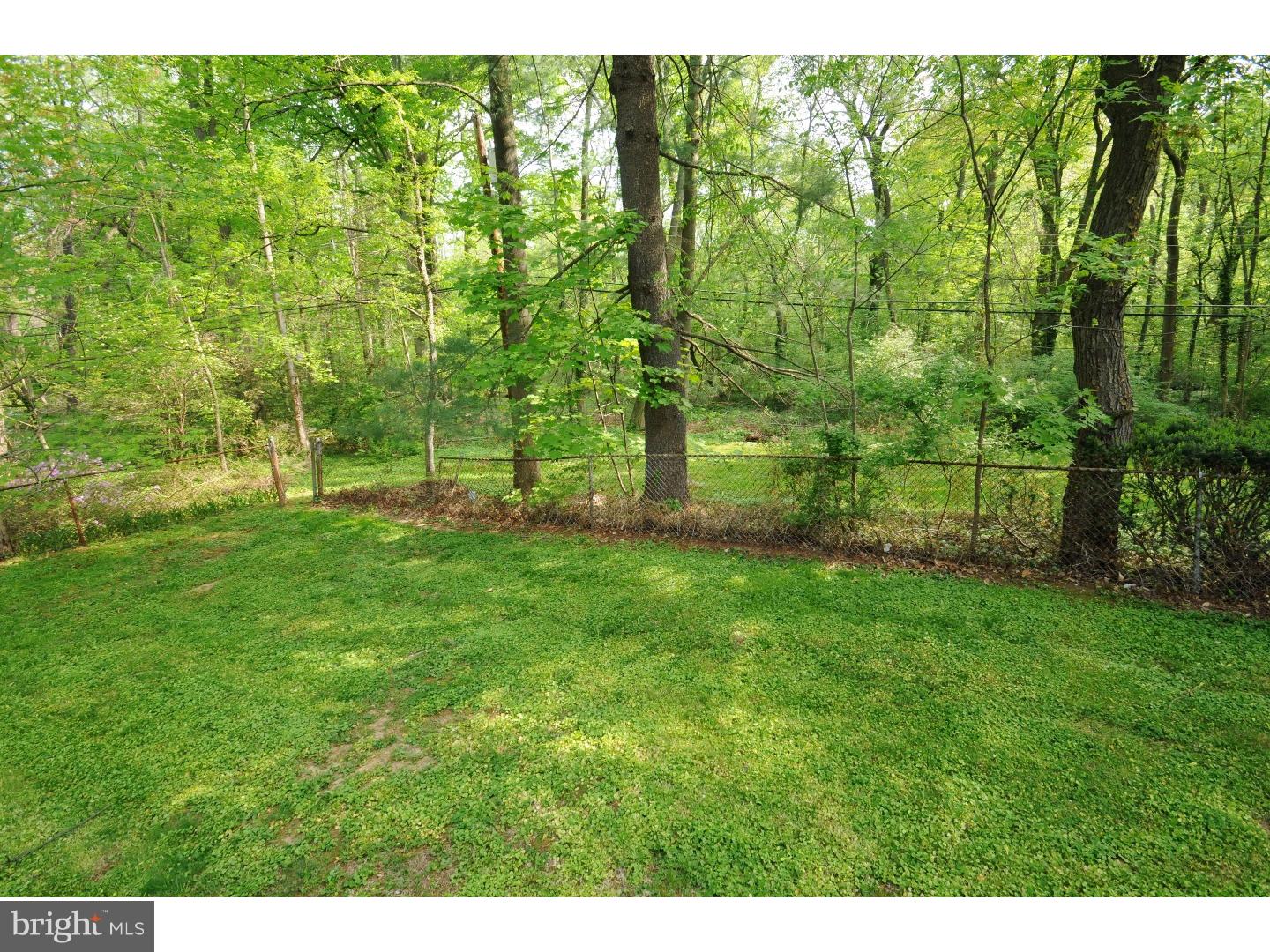1009 Delene Road Rydal, PA 19046 - Photo 25 of 25 Back Yard