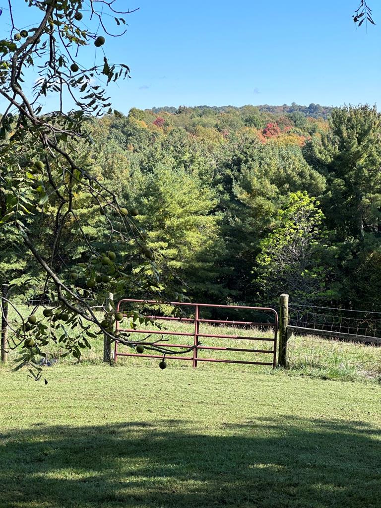 140 Baltimore Road Hillsville, VA 24343 - Photo 8 of 36 Gallery Image 8