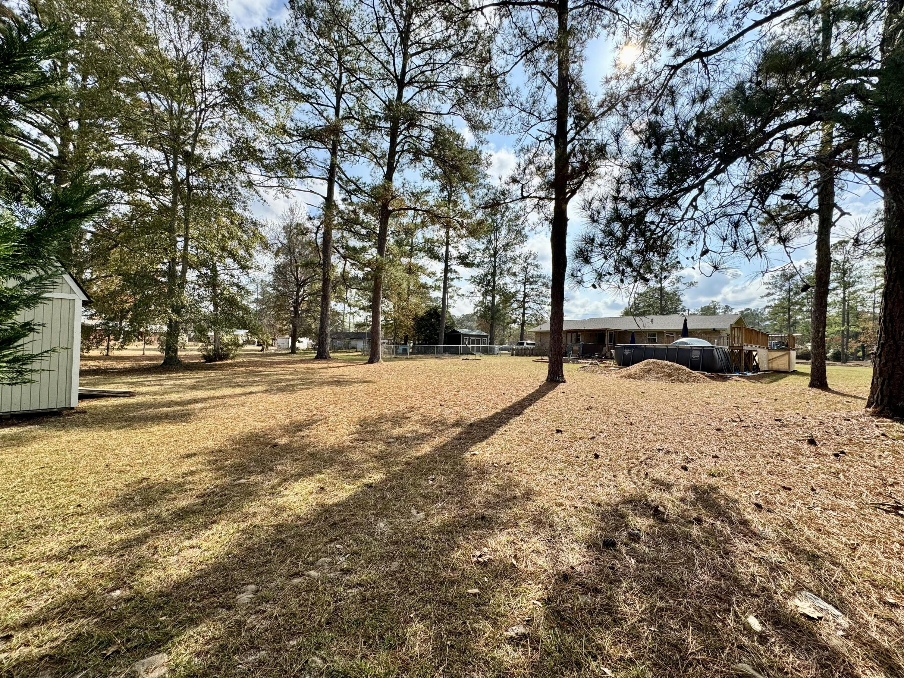 1133 Oak Avenue Elba, AL 36323 - Photo 21 of 26 a view of road with trees