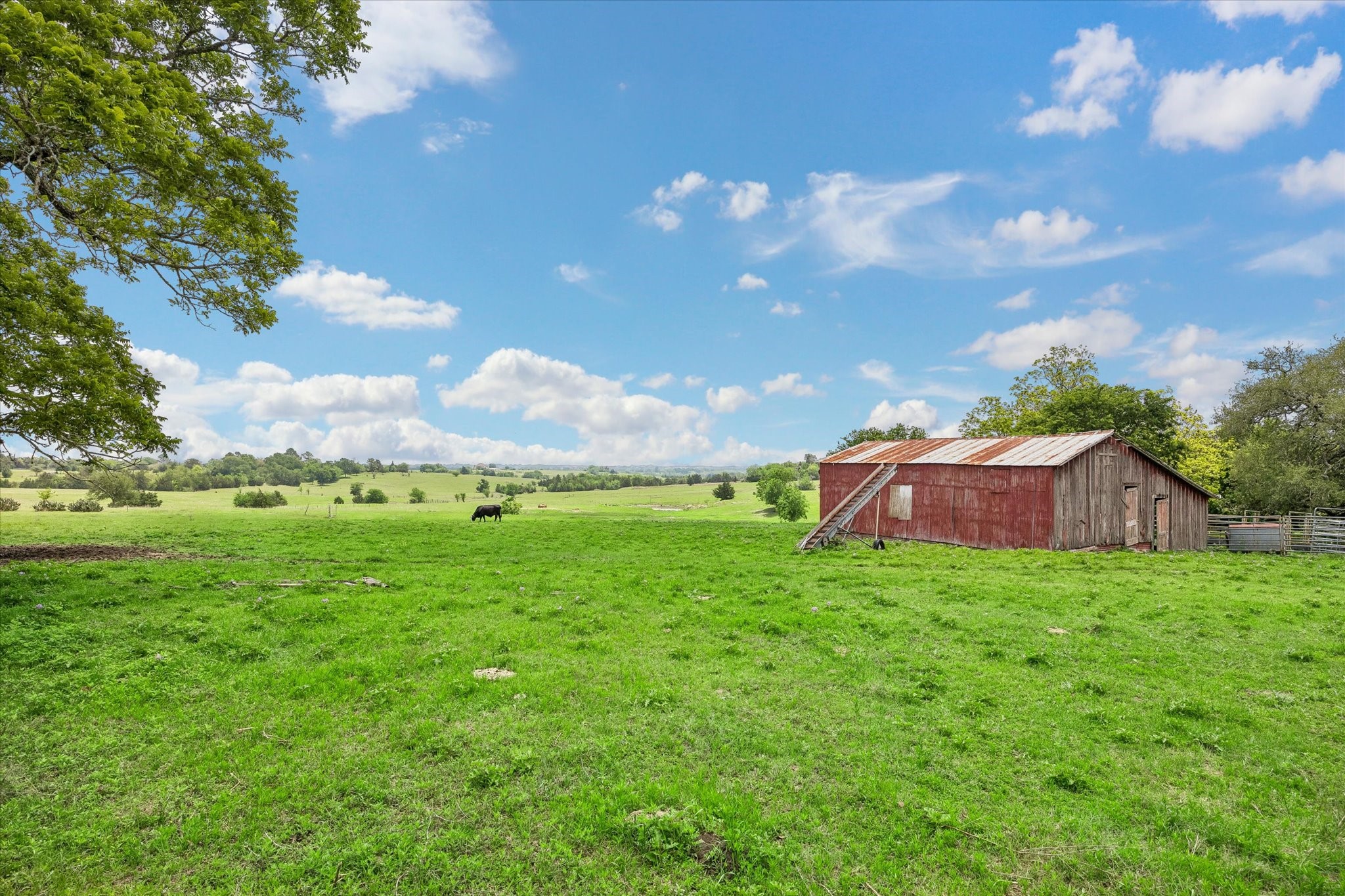 4754 Wickel Road Burton, TX 77835 - Photo 11 of 23 a backyard of a house with lots of green space