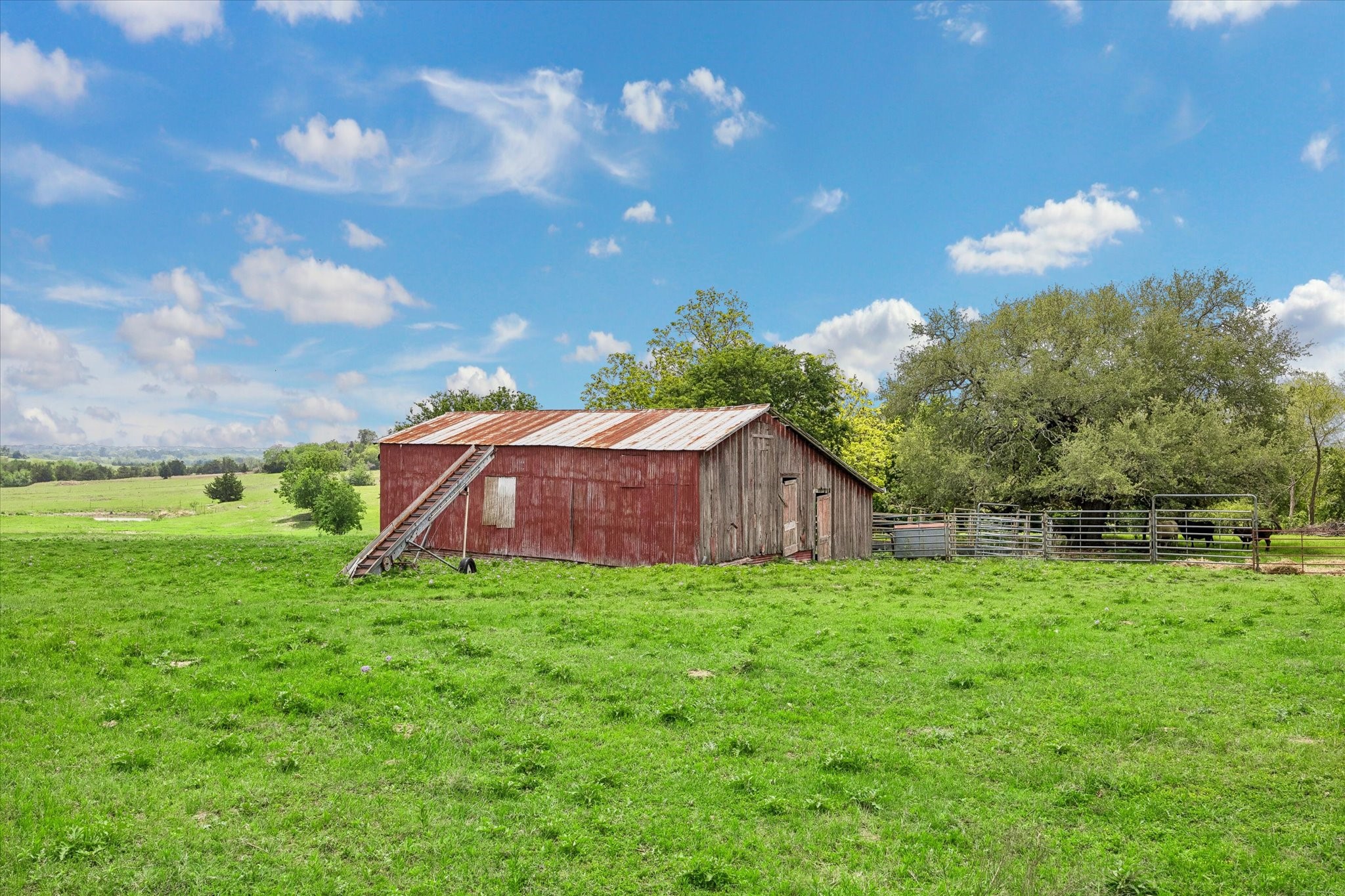 4754 Wickel Road Burton, TX 77835 - Photo 12 of 23 a view of a back yard with an tree and a fence