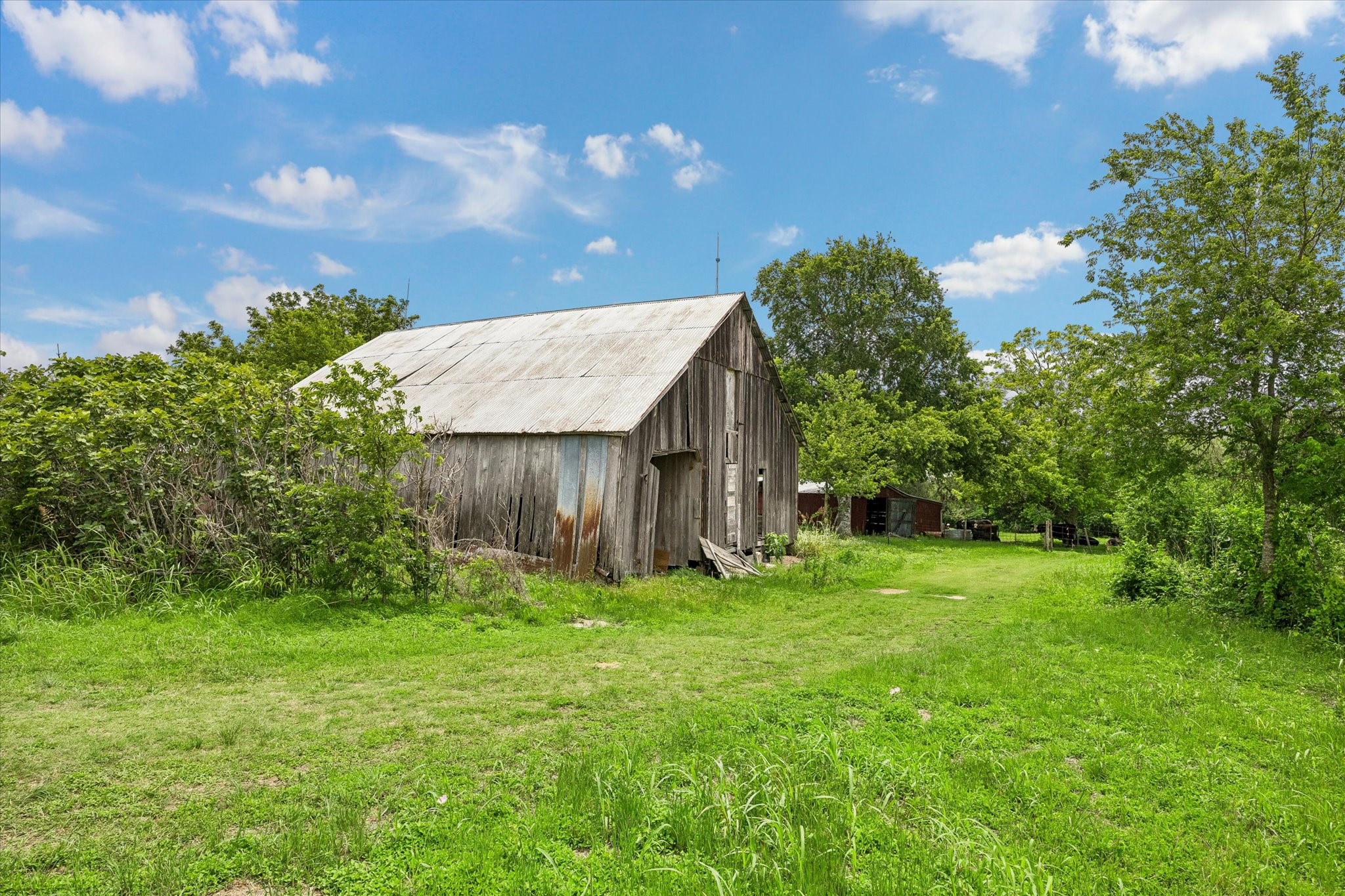 4754 Wickel Road Burton, TX 77835 - Photo 8 of 23 a backyard of a house with lots of green space