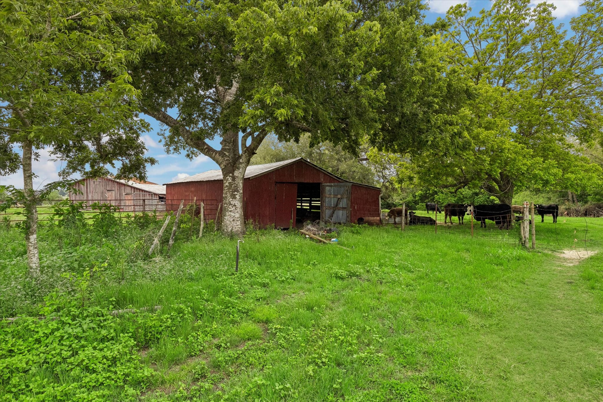 4754 Wickel Road Burton, TX 77835 - Photo 10 of 23 a backyard of a house with plants and large tree