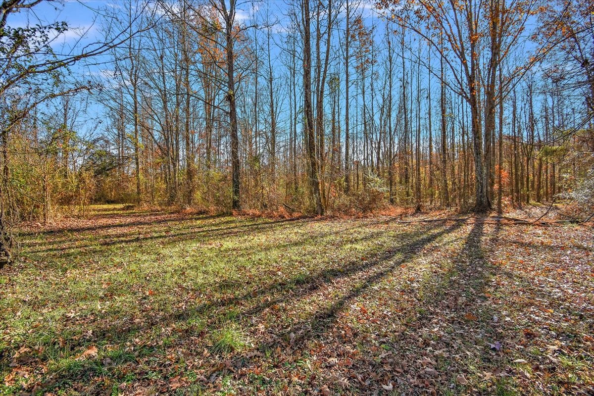 125 Newtown Road Rockvale, TN 37153 - Photo 12 of 18 Gallery Image 12