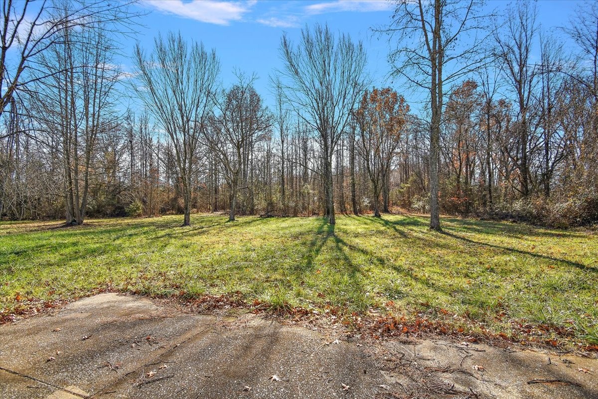 125 Newtown Road Rockvale, TN 37153 - Photo 6 of 18 Gallery Image 6
