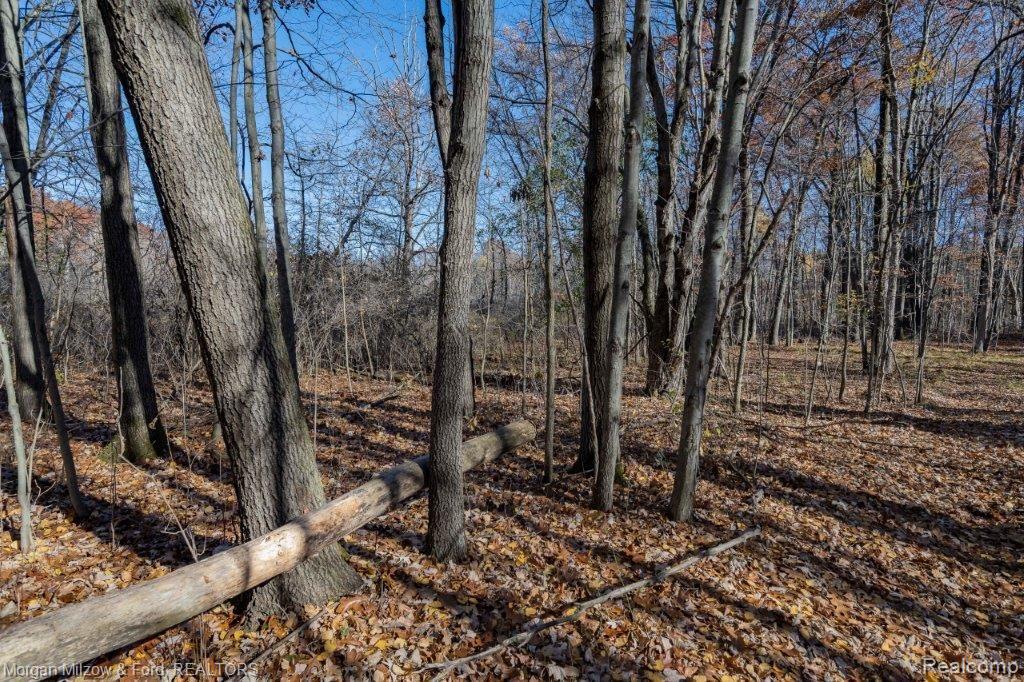 0 Tucker Road Walled Lake, MI 48390 - Photo 2 of 16
