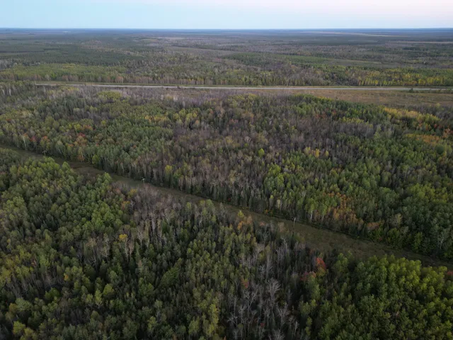 $154,900 | Tbd Tbd Us-71 Big Falls, Big Falls, MN 56627