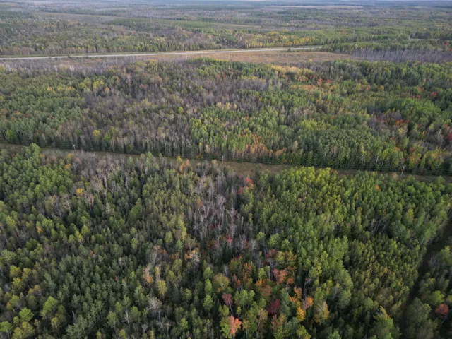 $154,900 | Tbd Tbd Us-71 Big Falls, Big Falls, MN 56627