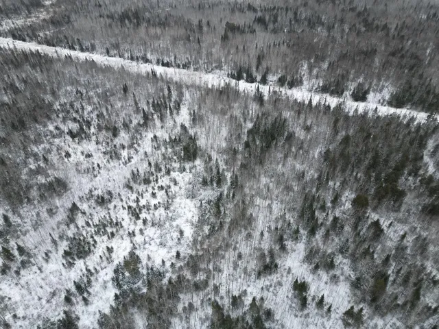 $154,900 | Tbd Tbd Us-71 Big Falls, Big Falls, MN 56627