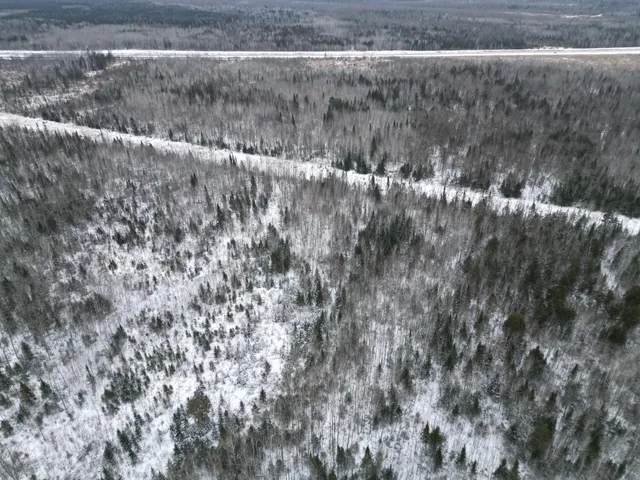 $154,900 | Tbd Tbd Us-71 Big Falls, Big Falls, MN 56627