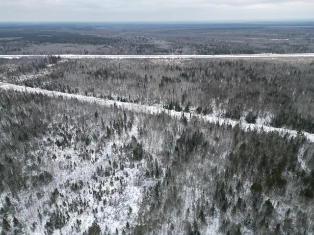 $154,900 | Tbd Tbd Us-71 Big Falls, Big Falls, MN 56627