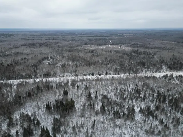 $154,900 | Tbd Tbd Us-71 Big Falls, Big Falls, MN 56627