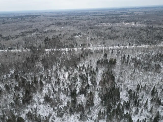 $154,900 | Tbd Tbd Us-71 Big Falls, Big Falls, MN 56627