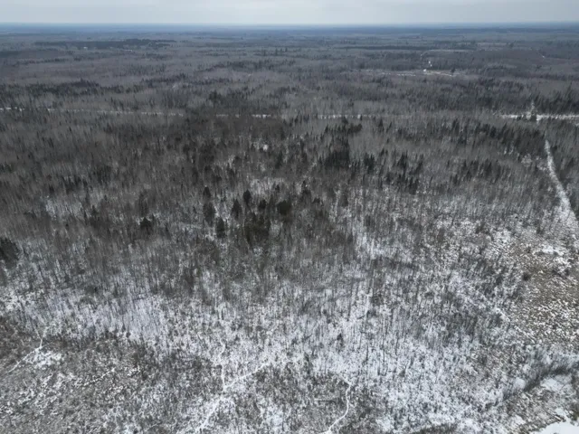 $154,900 | Tbd Tbd Us-71 Big Falls, Big Falls, MN 56627