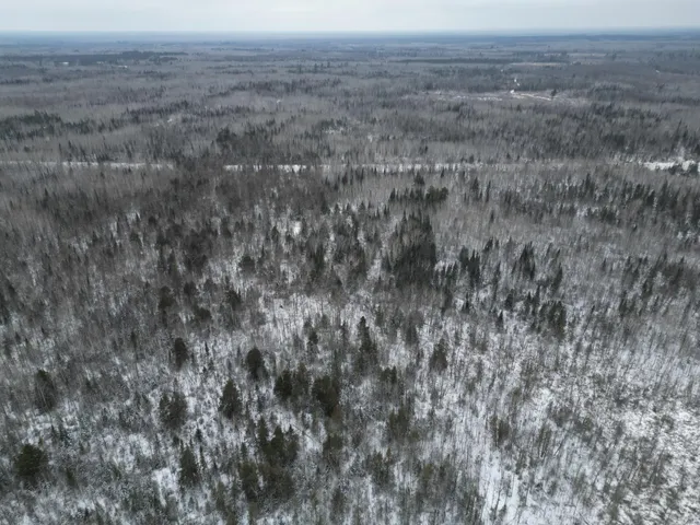 $154,900 | Tbd Tbd Us-71 Big Falls, Big Falls, MN 56627