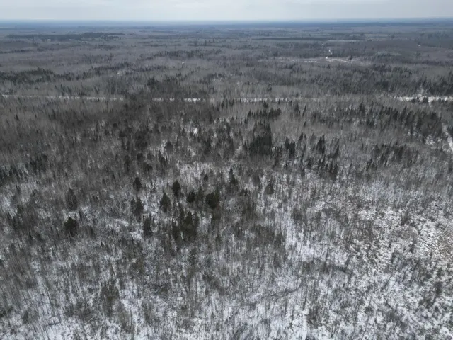 $154,900 | Tbd Tbd Us-71 Big Falls, Big Falls, MN 56627