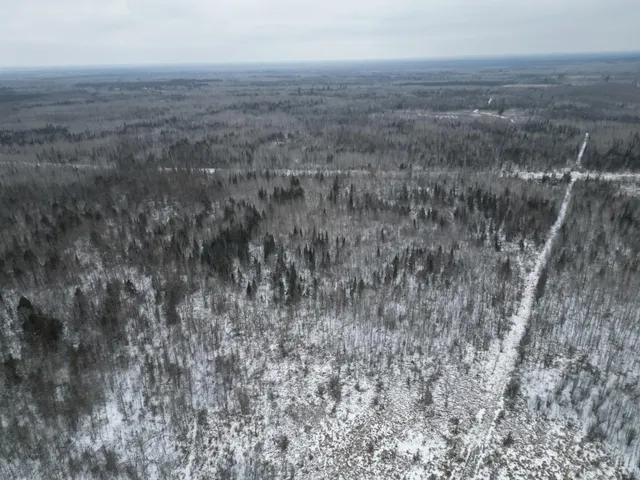 $154,900 | Tbd Tbd Us-71 Big Falls, Big Falls, MN 56627