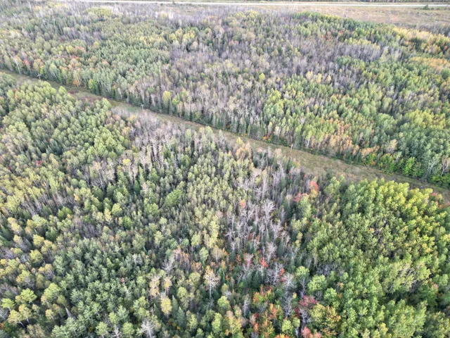 $154,900 | Tbd Tbd Us-71 Big Falls, Big Falls, MN 56627