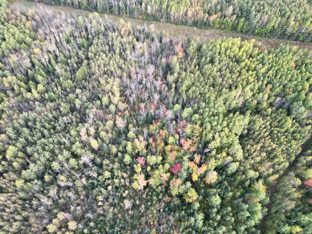 $154,900 | Tbd Tbd Us-71 Big Falls, Big Falls, MN 56627