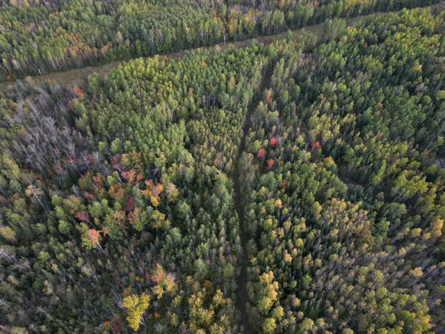 $154,900 | Tbd Tbd Us-71 Big Falls, Big Falls, MN 56627