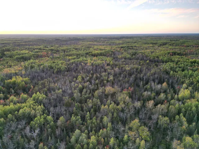 $154,900 | Tbd Tbd Us-71 Big Falls, Big Falls, MN 56627
