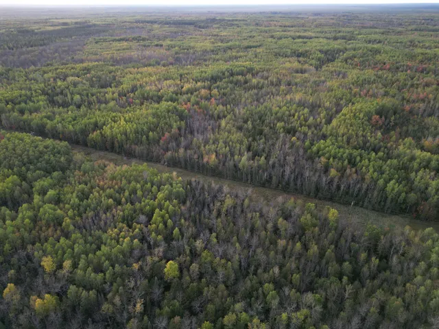 $154,900 | Tbd Tbd Us-71 Big Falls, Big Falls, MN 56627