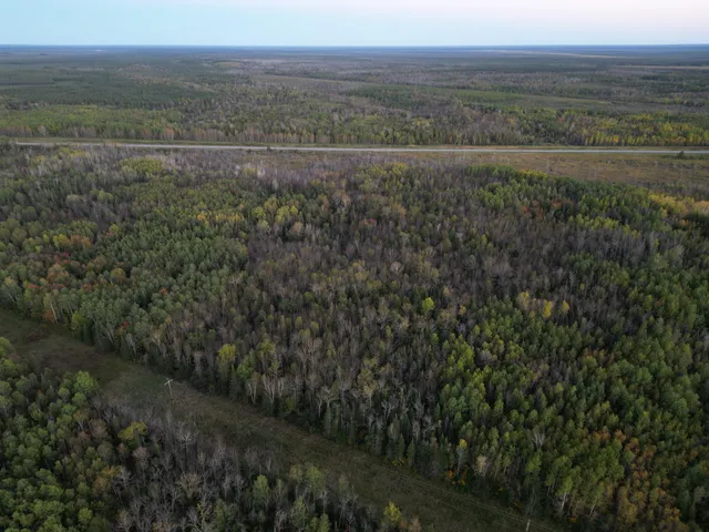 $154,900 | Tbd Tbd Us-71 Big Falls, Big Falls, MN 56627