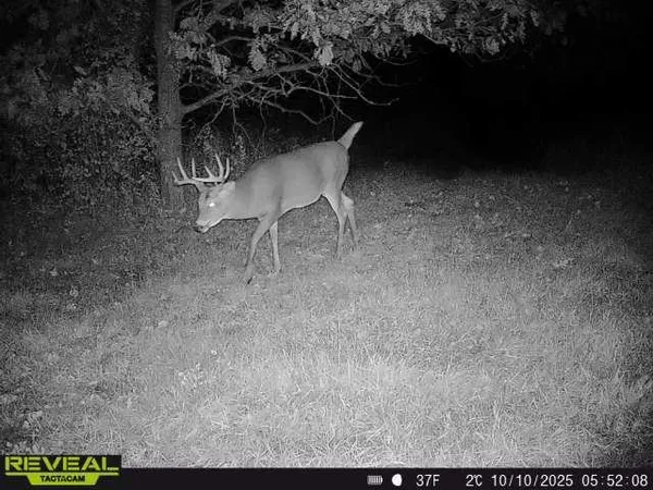 $799,900 | 3231 Highway 65, Mora, MN 55051